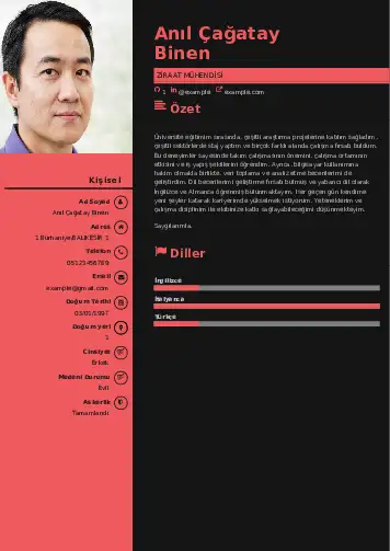 Ziraat Mühendisi Cv Örnekleri cv indir